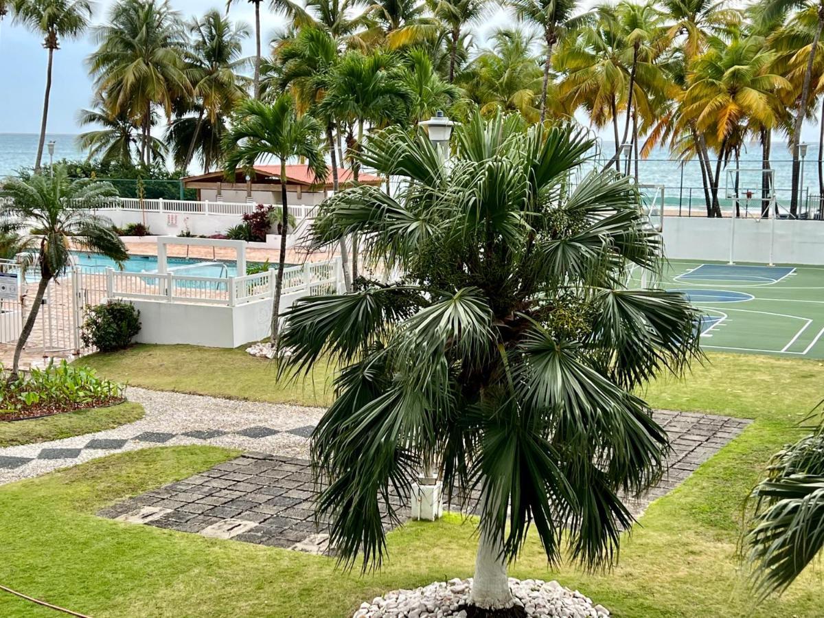 Hobie Oceanfront Apartment At Isla Verde Сан Хуан Екстериор снимка